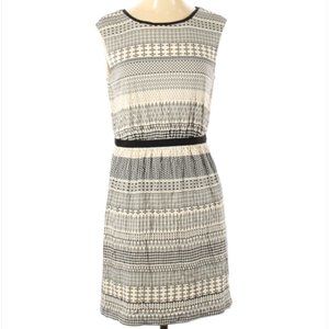 Ann Taylor LOFT Dress